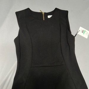 Black Calvin Klein Sleeveless Fitted Midi Dress